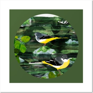 Grey Wagtail Birds Posters and Art